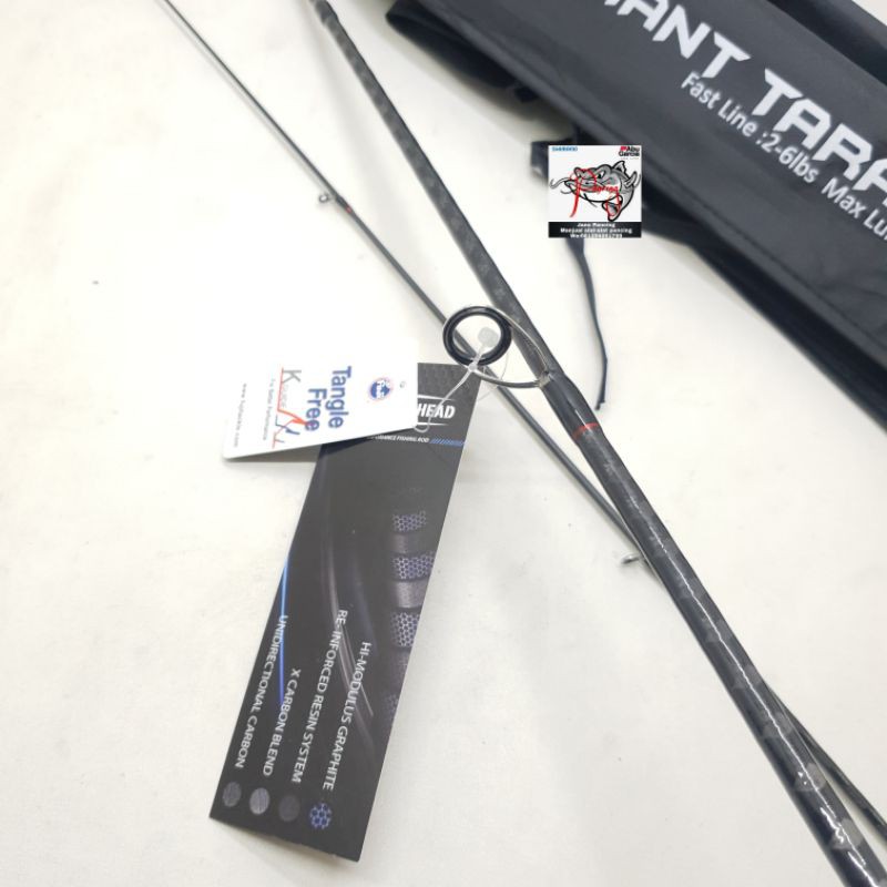 Joran UL Hammer head giant Tarantula