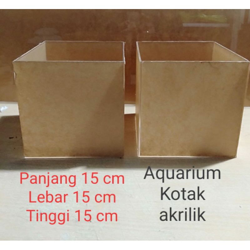 AQUARIUM IKAN CUPANG AKRILIK 15 cm x 15 cm