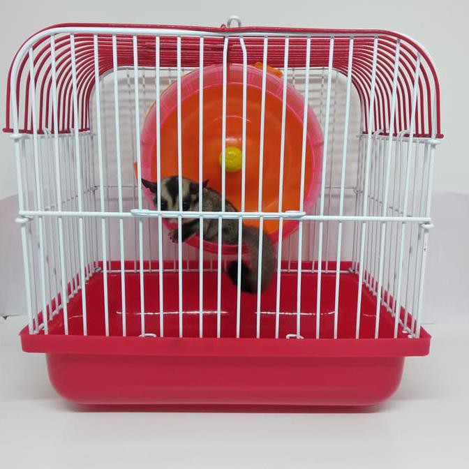 Mini hamster cage - kandang hamster ukuran kecil - Tanpa Kincir