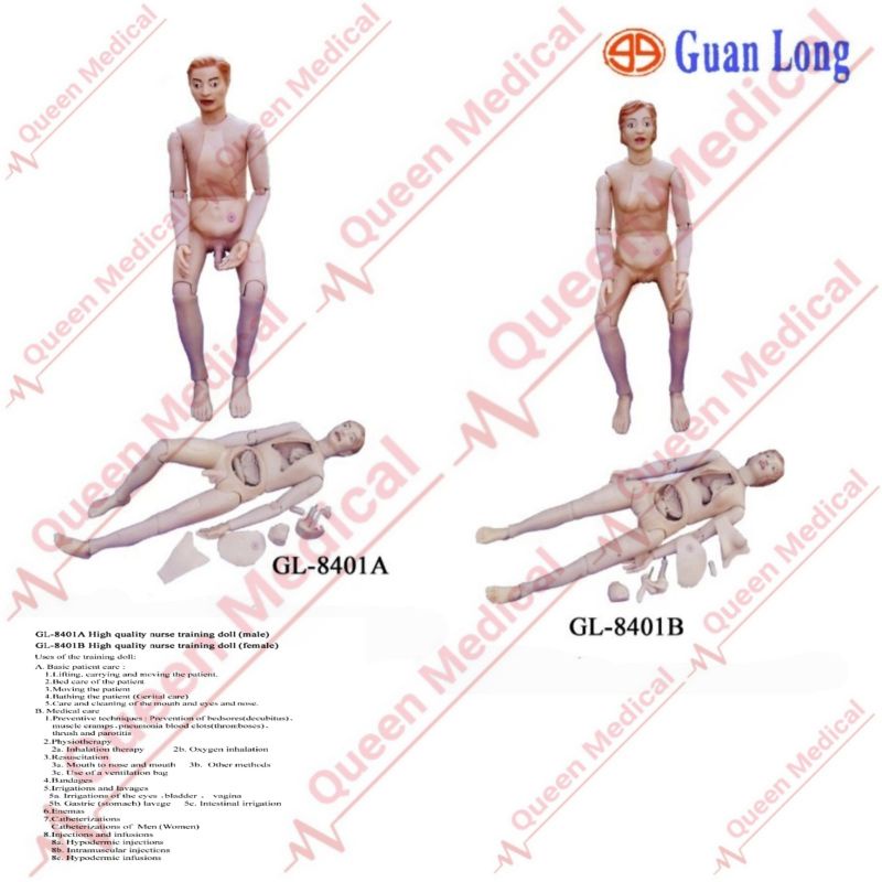 Alat Peraga/Manikin/Phantom/Torso Manusia utuh Nurse Training Doll GL 8401A/B