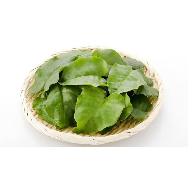 

Daun Binahong Pres Segar 1 Kg Organik Alami