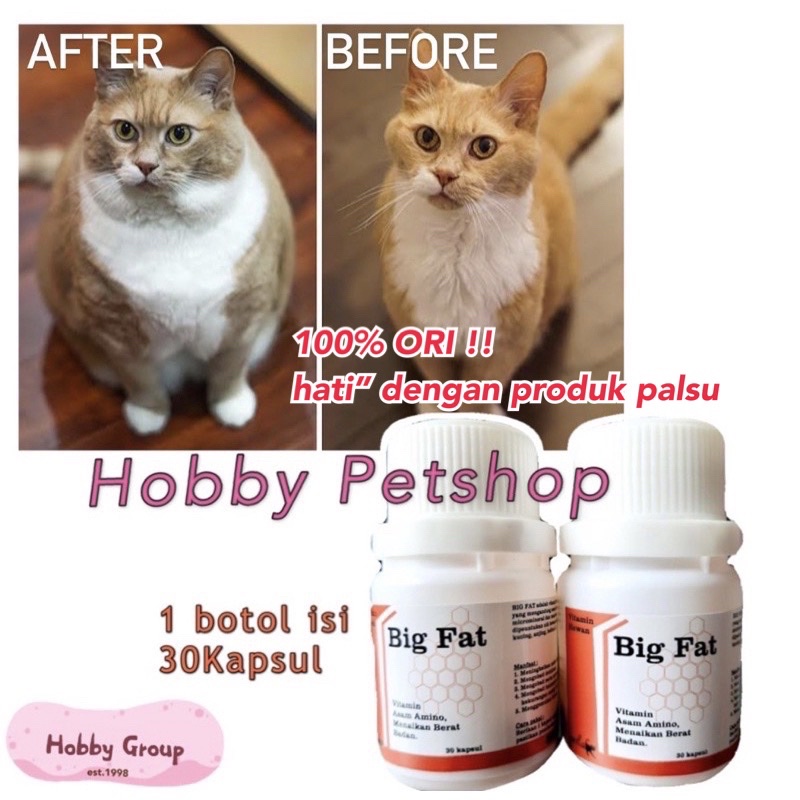 Big fat - 100% ASLI penggemuk kucing anjing kelinci obat vitamin pembesar hewan penambah nafsu makan anak