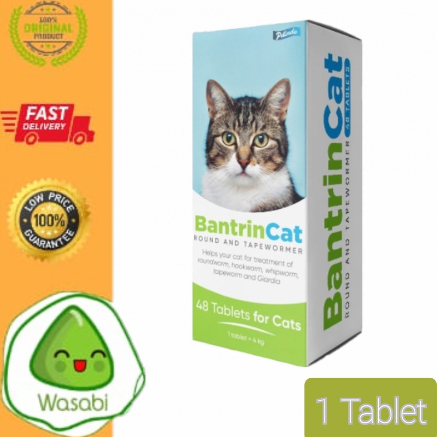 BANTRIN CAT BOX - Obat Cacing Kucing bkn Drontal Catyzole 48Tablet