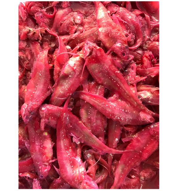 

Fu Mui Koi 1kg / Pedak Ikan Bilis Bulu Ayam / Fumuikoi Fermentasi Khas AHA Pemangkat