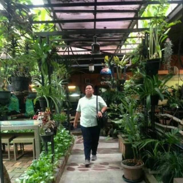 yogachandrawinotorflandakk