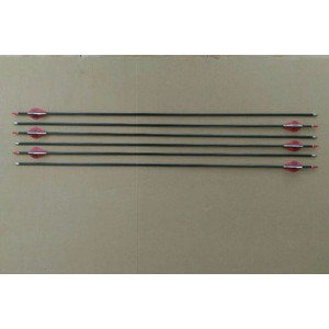 Arrow Carbon Enigma Blaze Spine 500, archery, bow, busur, panah