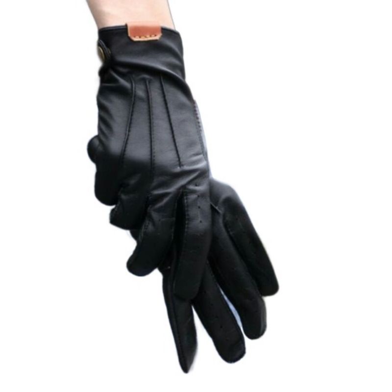 asesoris motor sarung tangan motor