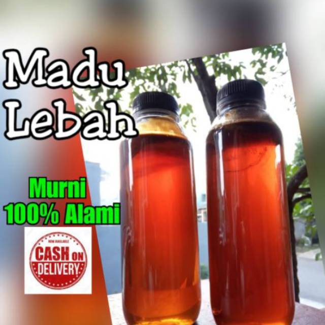 

MADU ASLI 100% LEBAH LIAR