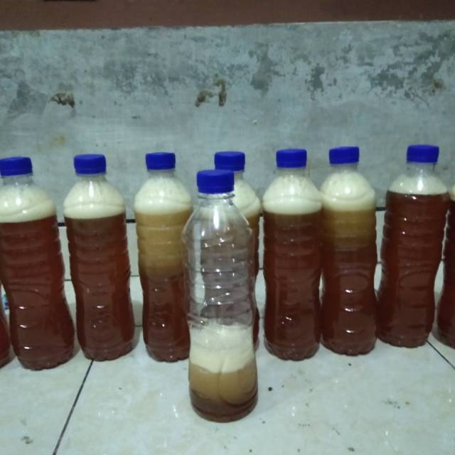 

Madu hutan asli