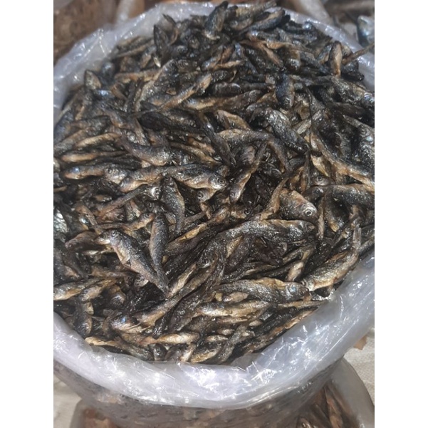 

IKAN BILIS/ IKAN BILIH