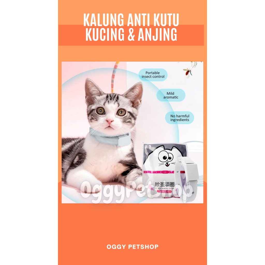 Kalung Anti Kutu Kucing Anjing