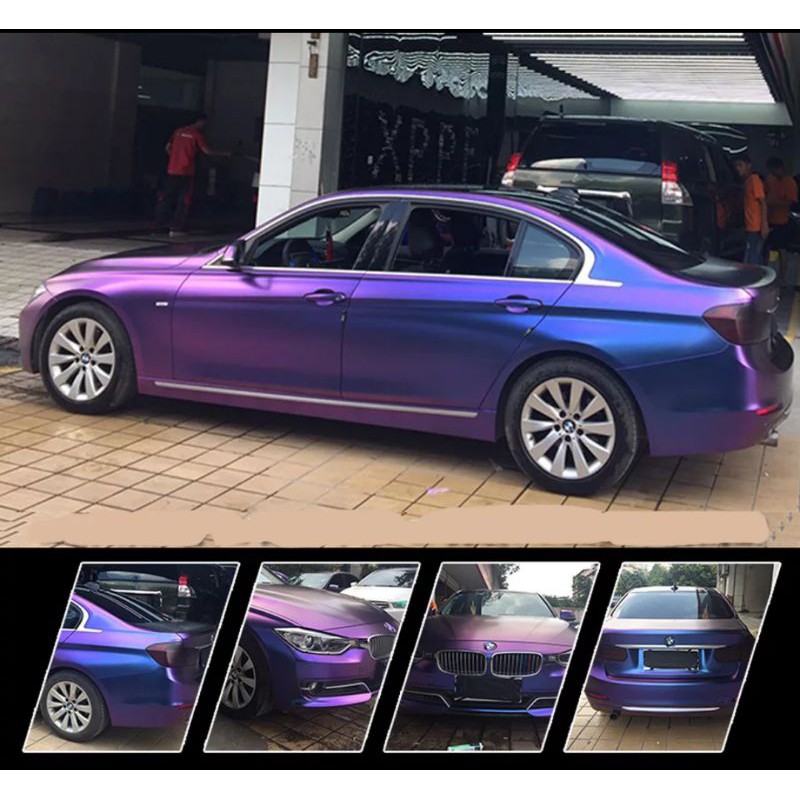 cat bunglon chameleon