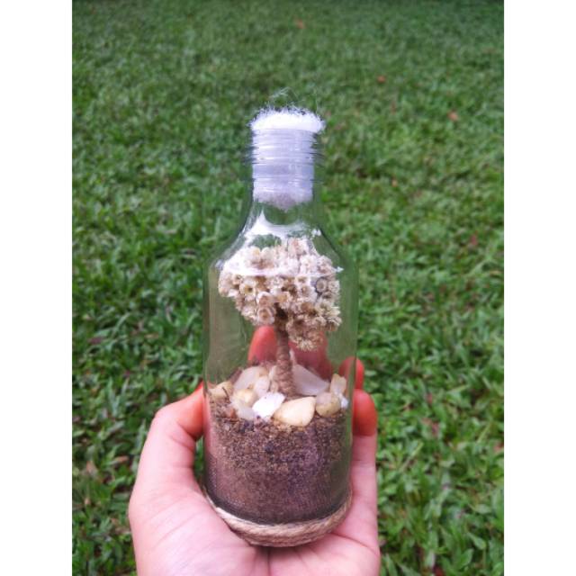 Bunga edelweis/bunga kering/bunga botol edelweis/botol bunga edelweis, bunga edelweis premium