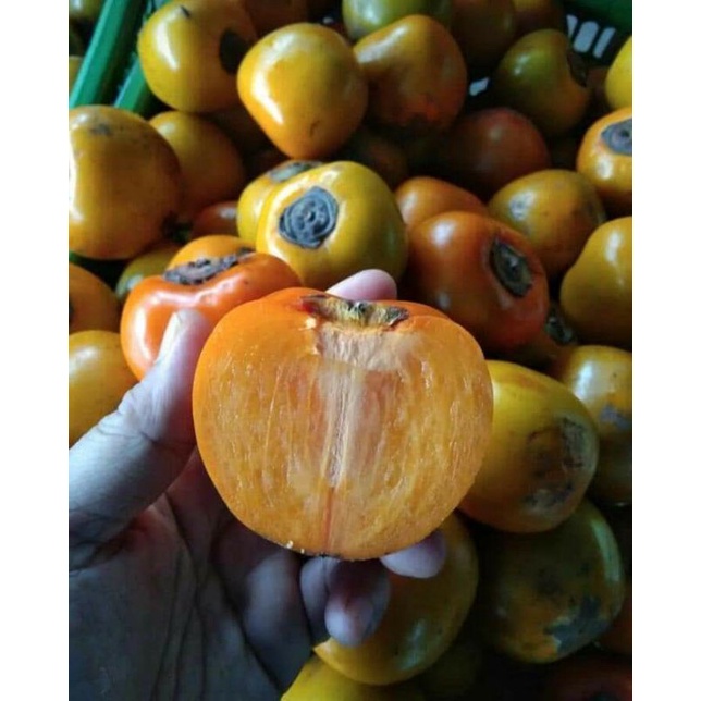 Buah kesemek / buah genit 1kg