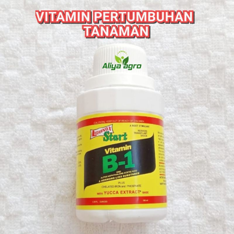 Vit B1 Tanaman