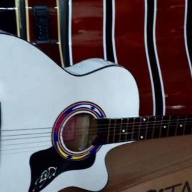 Gitar akustik  Elektrik Custom Cole Clark/Taylor/Lakewood