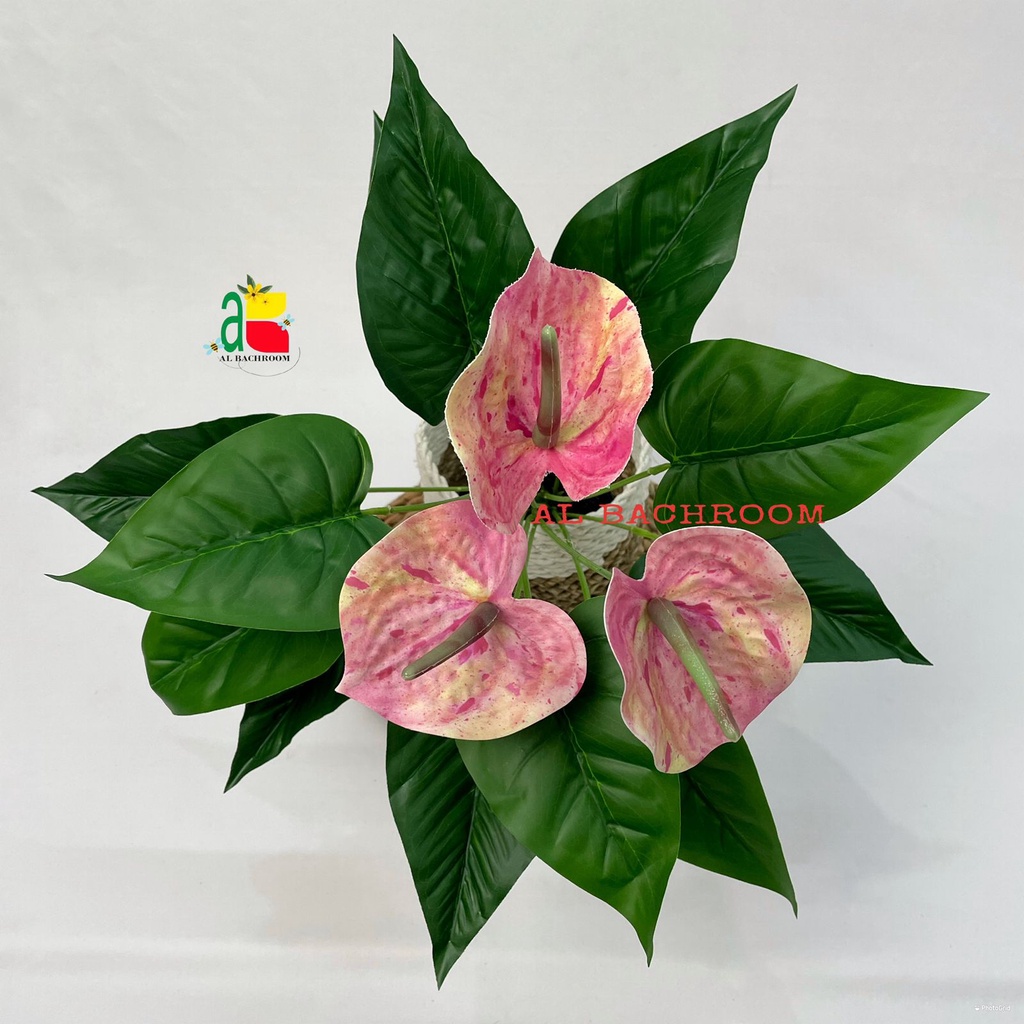 B8089 TANAMAN ARTIFICIAL ANTHURIUM LATEX PT-B3 TANAMAN HIAS PLASTIK HIASAN RUMAH