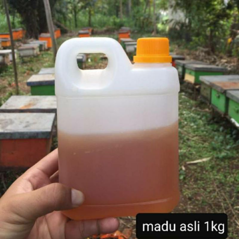 Jual Madu Asli Dan Murni Tanpa Pasteurisasi Dan Filtrasi Shopee Indonesia