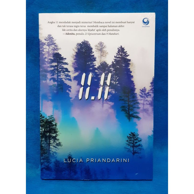11.11 - Lucia Priandarini ( Novel )