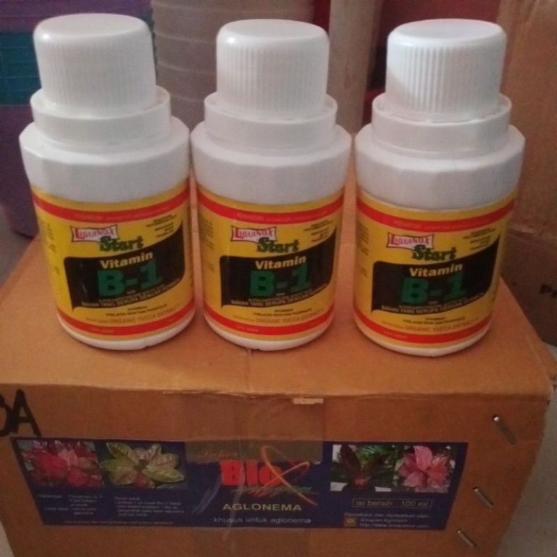 vitamin b1 vitamin anti stress aglonema