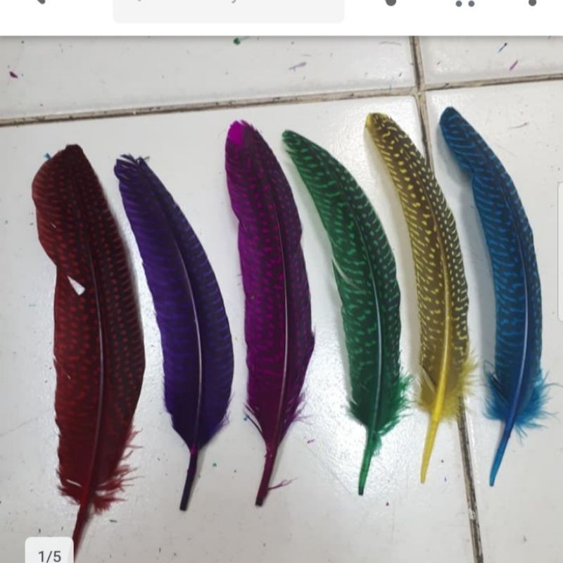 Bulu Ayam Pulpen[6pcs]-Bulu Ayam Dekor