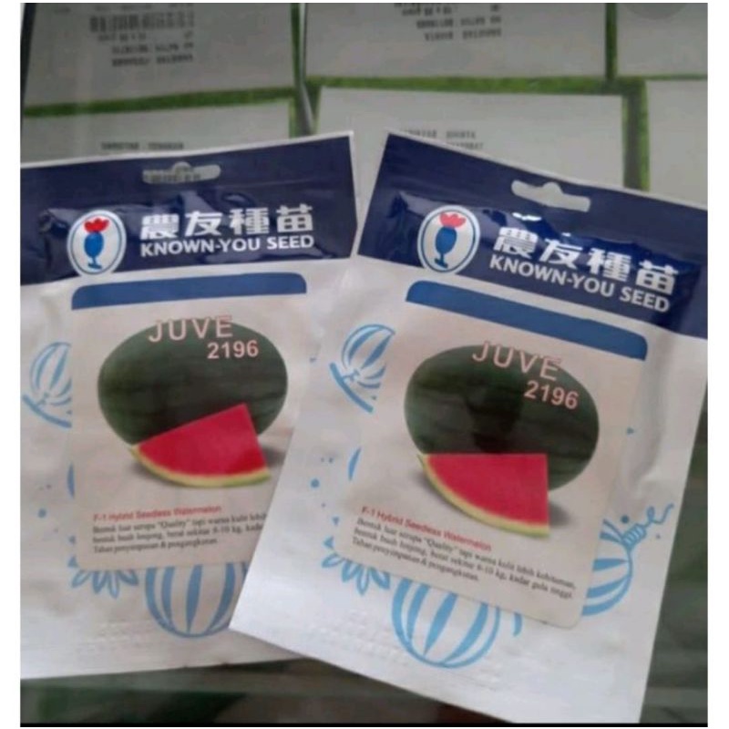 benih bibit semangka JUVE isi300 butir non biji .KNOWN YOU SEED / 2024