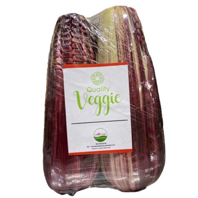 Jagung Ungu Organik / Purple Organic Corn