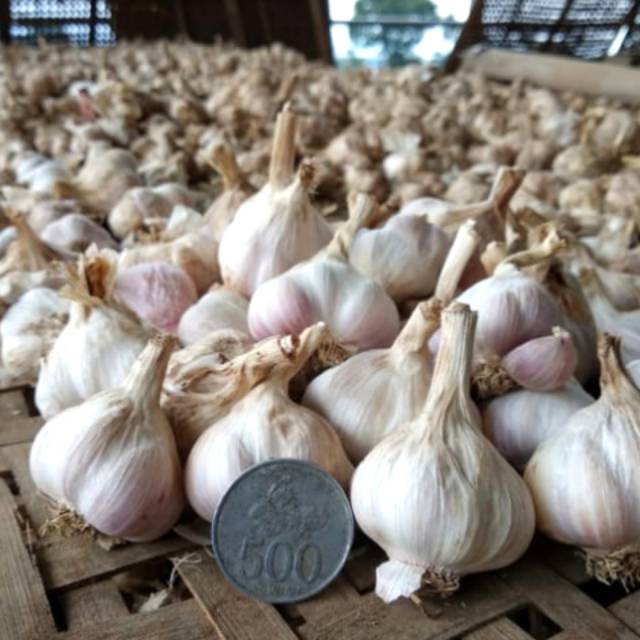 

Bawang Putih Lokal Temanggung
