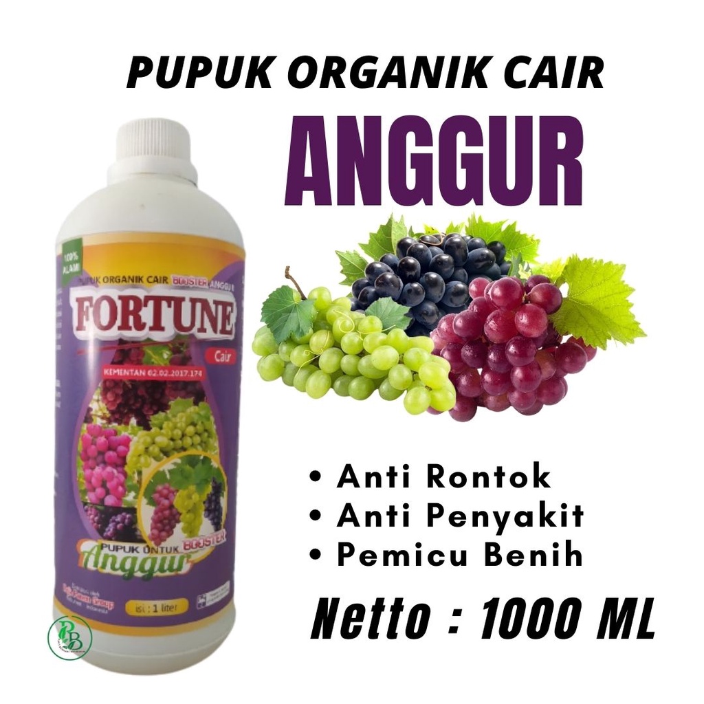 Pupuk Cair Organik anggur di musim hujan, Booster Buah anggur hitam panjang tanpa biji Berbuah Lebat