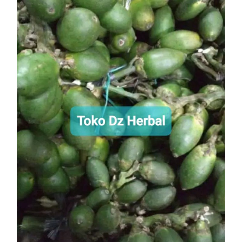 

Pinang Muda segar atau Jambe Segar 1 kg-az