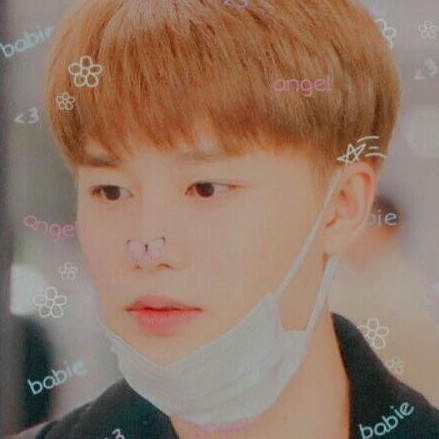TAEIL PHOTOCARD OFFICIAL