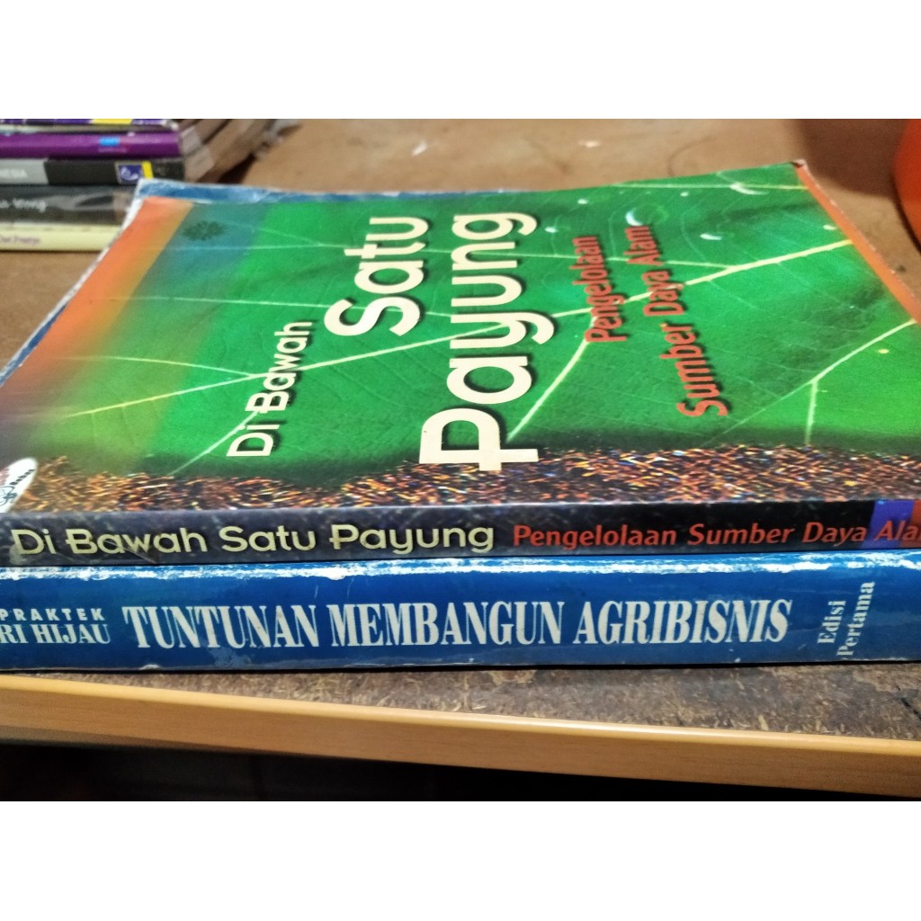 Pengelolaan sumber daya alam-Tuntunan membangun agribisnis