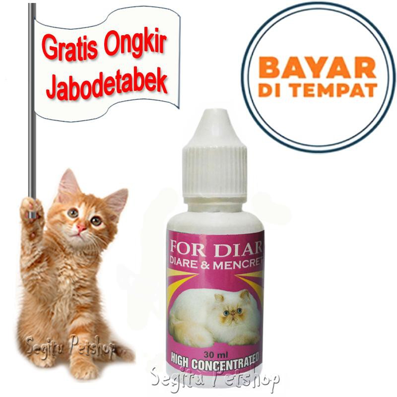 Obat kucing  Diare Mencret anjing dan hewan peliharaan lainnya