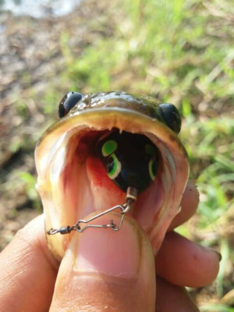 SOFT FROG MICRO KILLER 2 CM