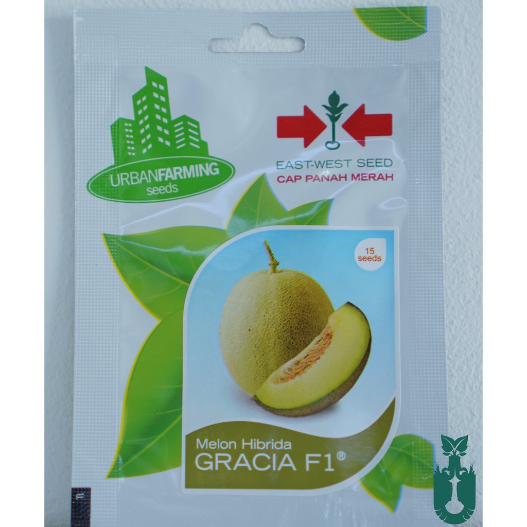 Benih Melon Hibrida (Panah Merah) Gracia F1