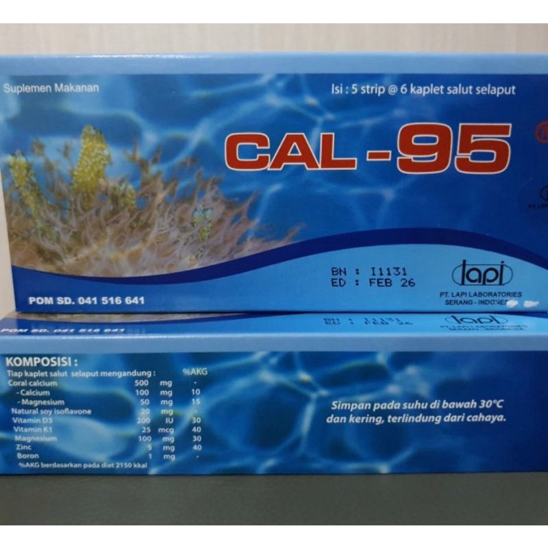 Cal 95 Calcium / Cal-95 Kalsium