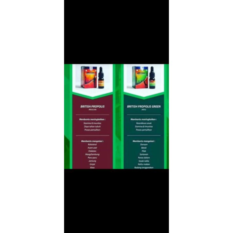 

British propolis