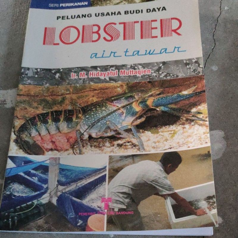 

buku peluang budi daya lobster air tawar