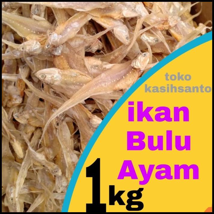 

Ikan Asin Bulu Ayam-1Kg