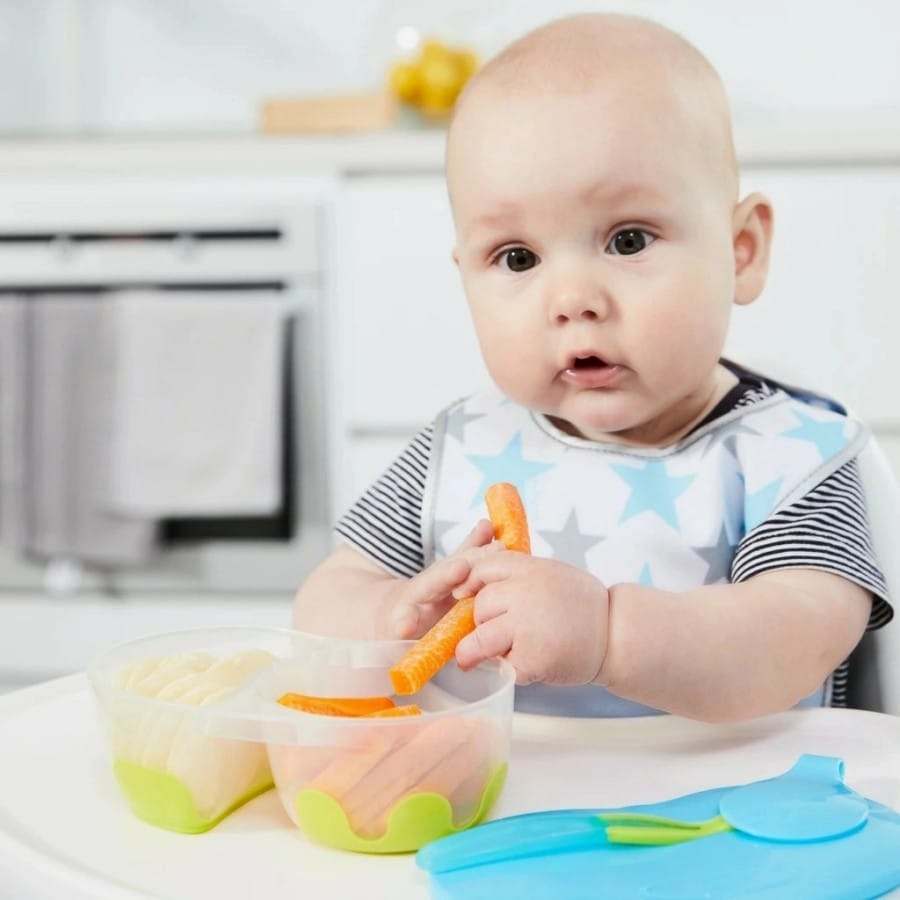 B Box Snack Pack / Tempat Makan Anak