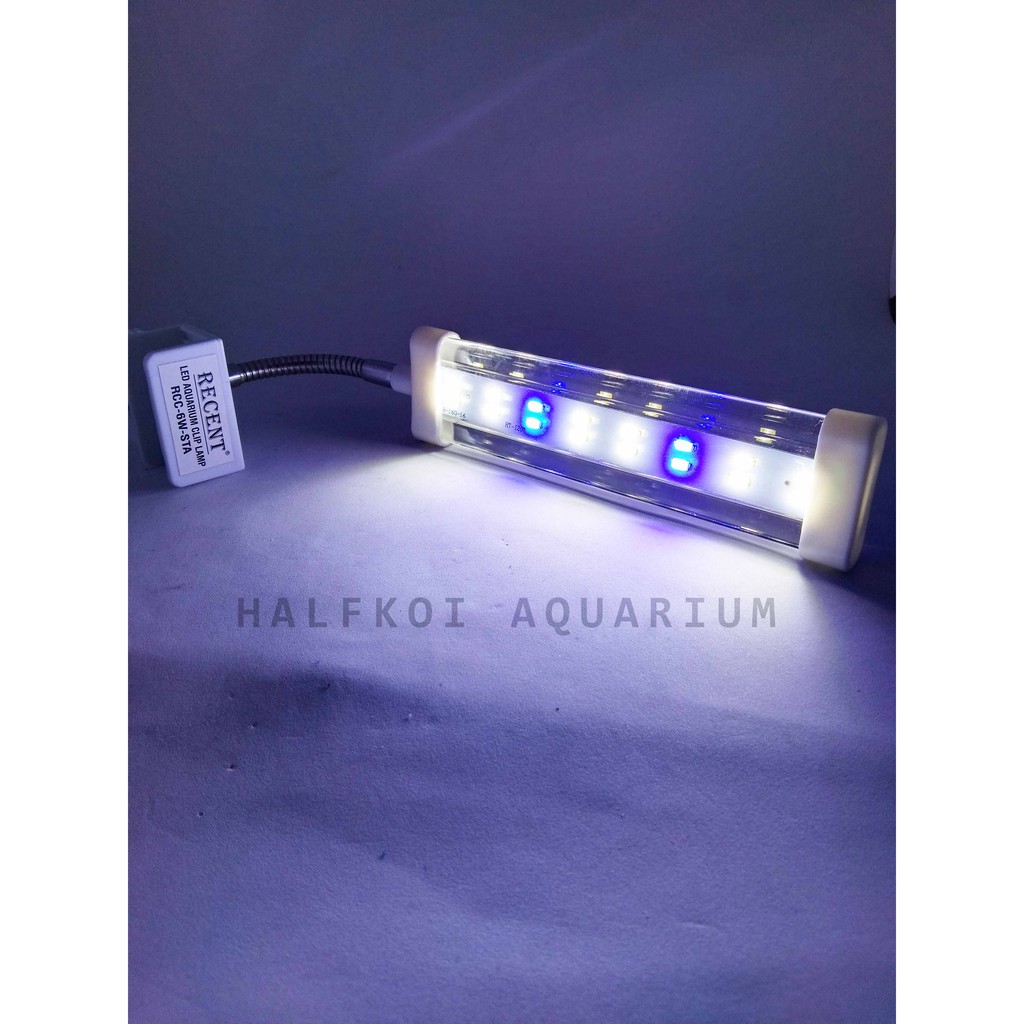 Lampu LED Aquarium Aquascape Jepit RECENT RCC 6W STA 6 Watt