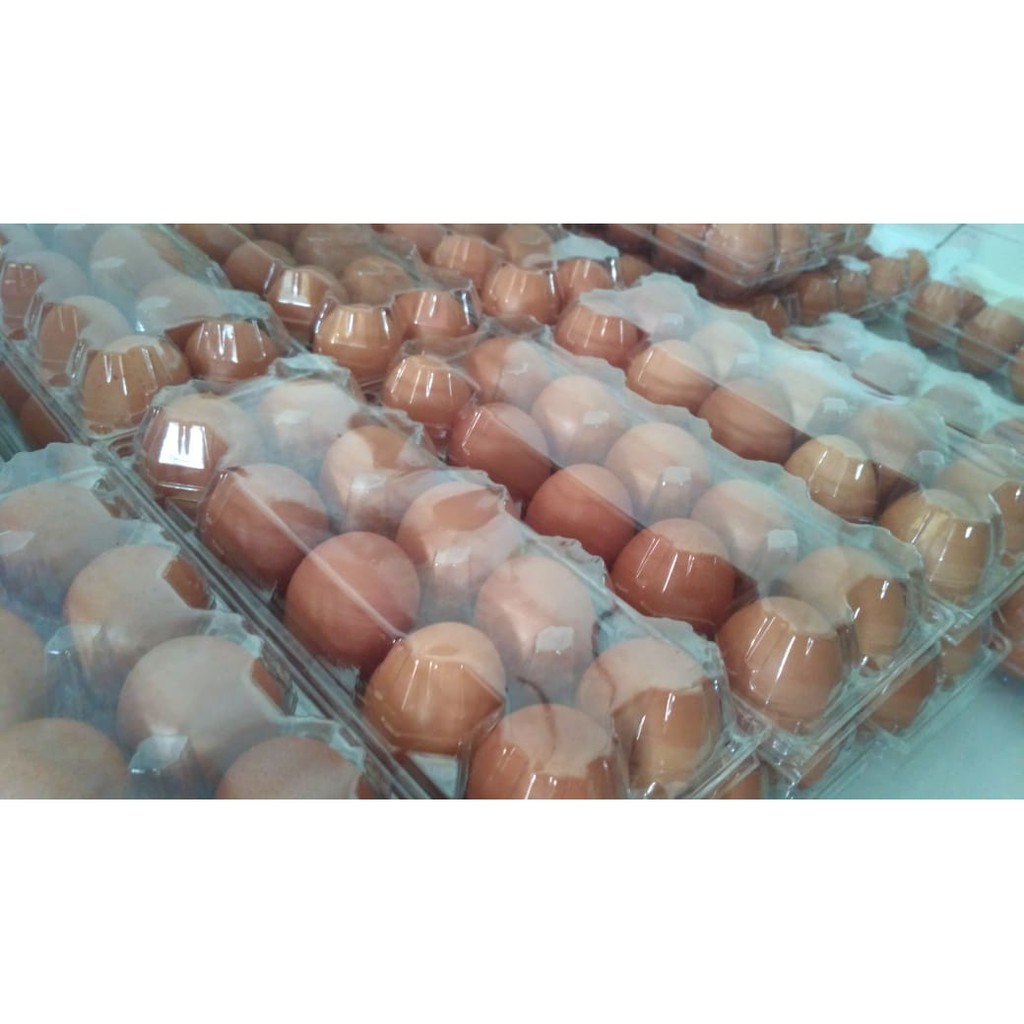 

Telur Premium