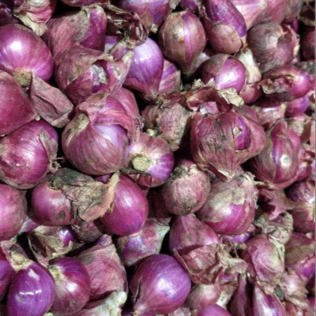 

Bawang Merah Brebes Super Ab