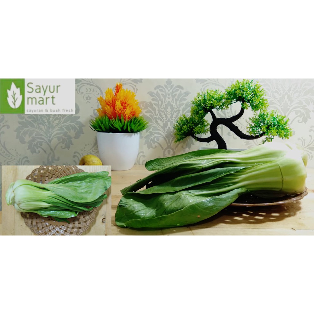 

TERMURAH SAWI HIJAU / CAH SAWI / MUSTARD GREENS / SAYUR SAYURAN SEGAR MAKANAN SURABAYA / PER IKAT