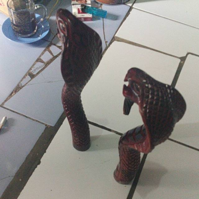 Gear knop ular &quot;1