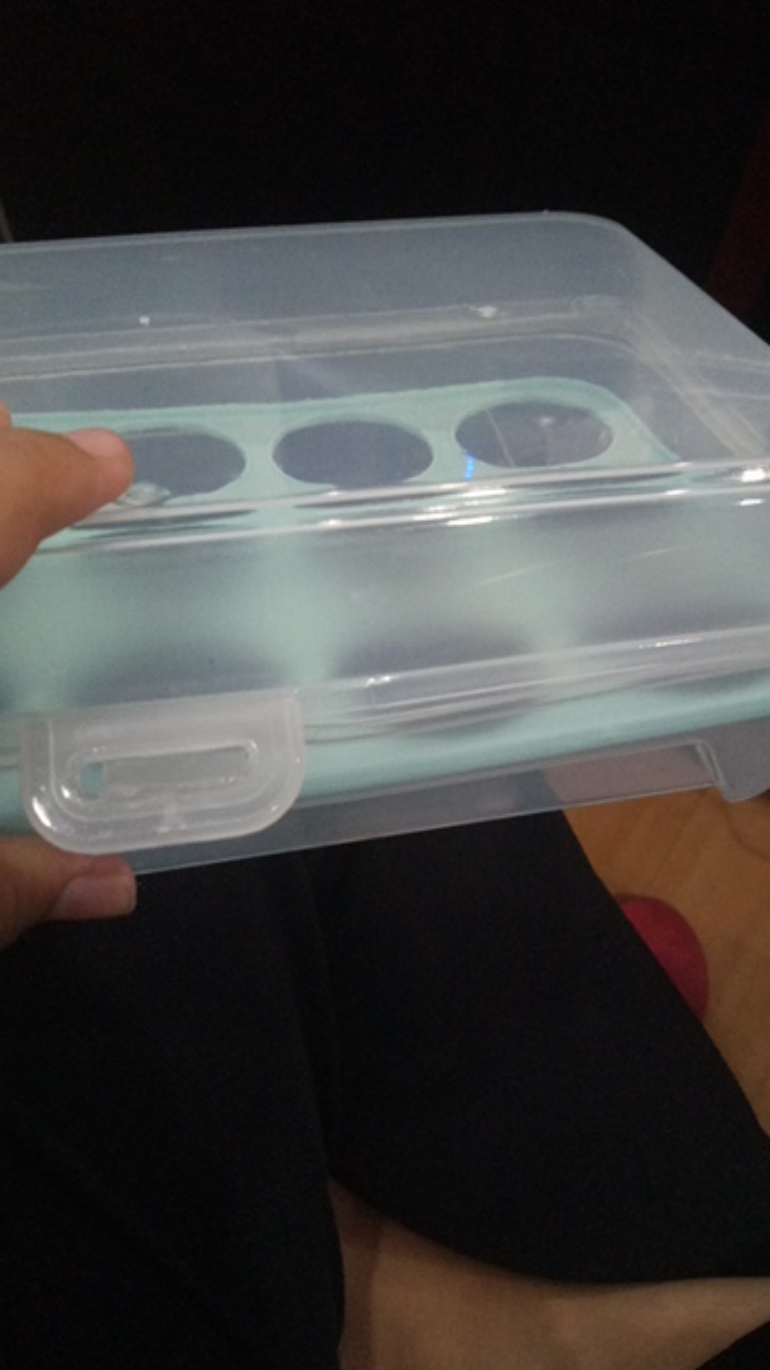 Egg Container Box Wadah Kotak Tempat Penyimpanan Telur Isi 15 Lubang Sekat