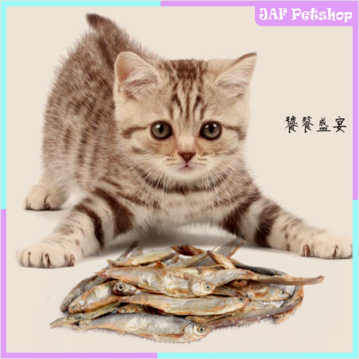 Cemilan Kucing Anjing Ikan Teri Kering 50gr | Snack Kucing Teri Kering