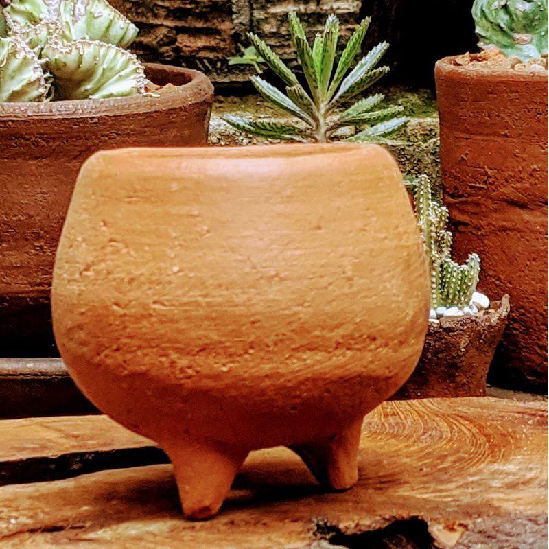 Pot Tanaman Kaktus Sekulen Teracota Terracota Tanah Liat Gerabah Mini Murah Motif Cembung Berkaki Shopee Indonesia
