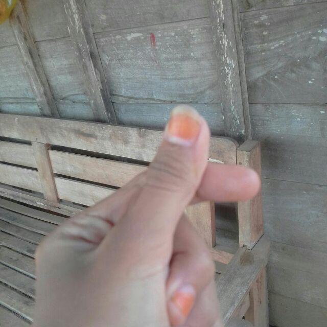 Promo Murah Rak Set 3in1 Motif Bunga Rak Gantung Underwear, Sepatu Dan Tas Tanpa Resleting