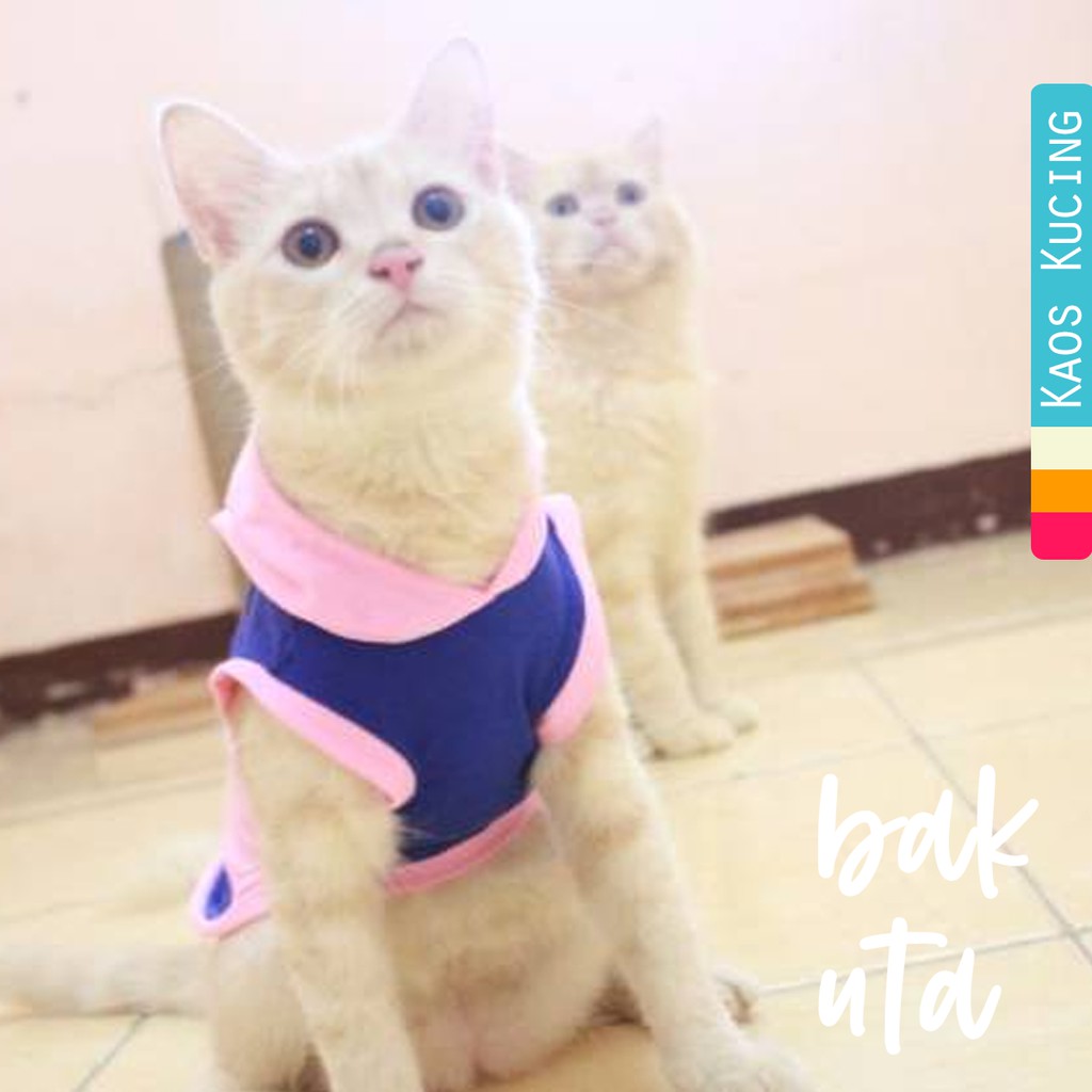 Kaos hoodie mix pinky blue untuk kucing dan anjing / baju kucing murah meriah size S M L XL